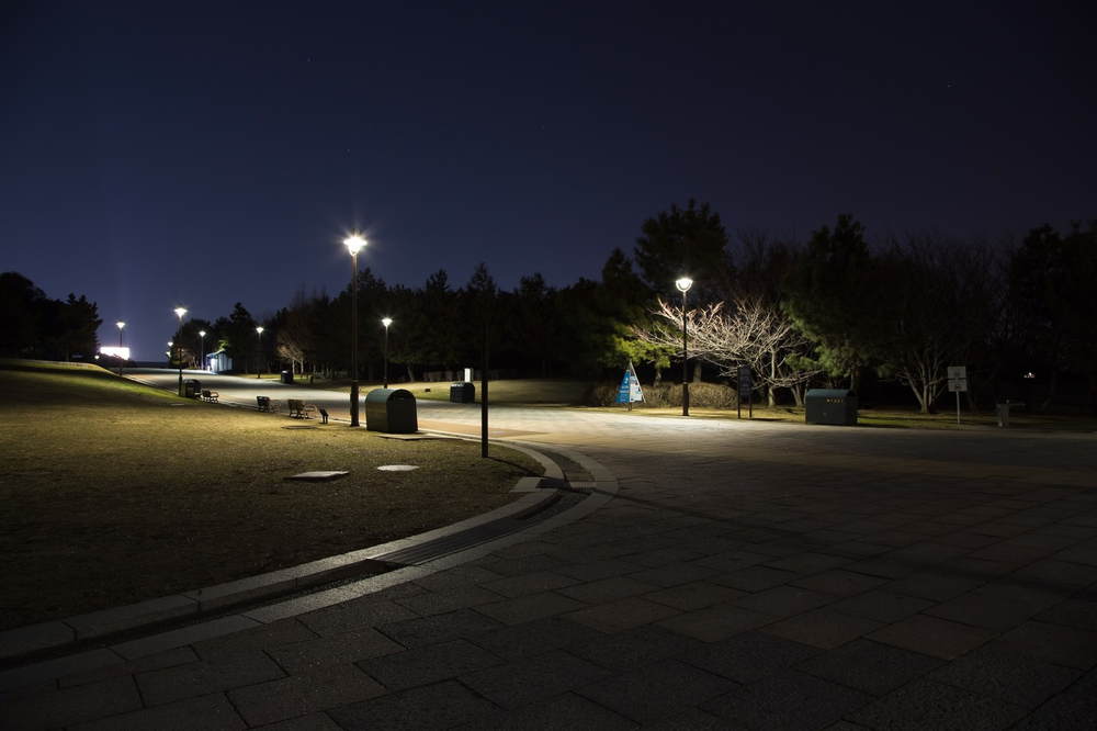 夜の公園